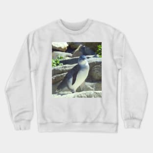 Little Penguin Crewneck Sweatshirt